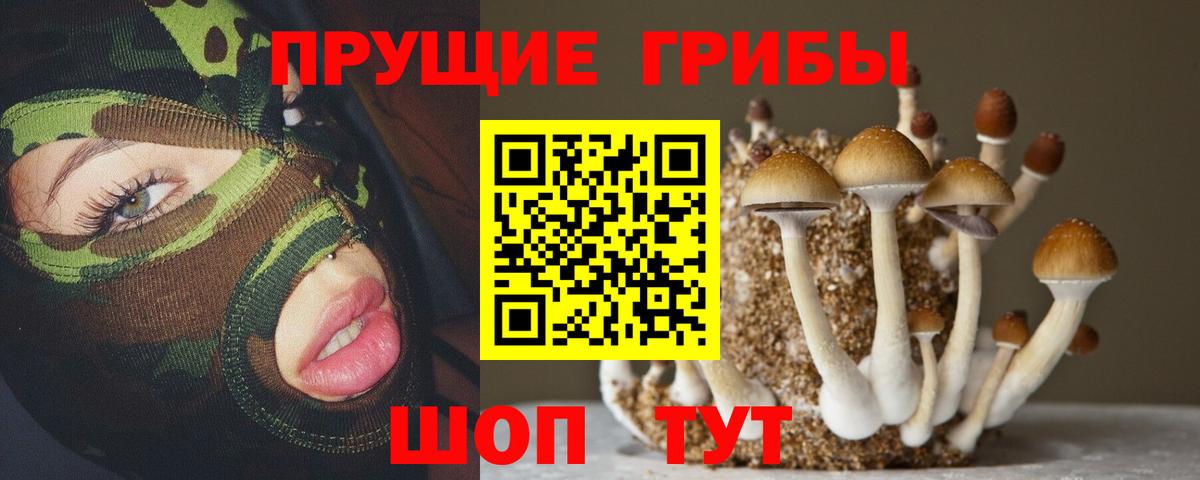 Жуковский  Псилоцибиновые грибы GOLDEN TEACHER  купить  цена  Вход с VPN 