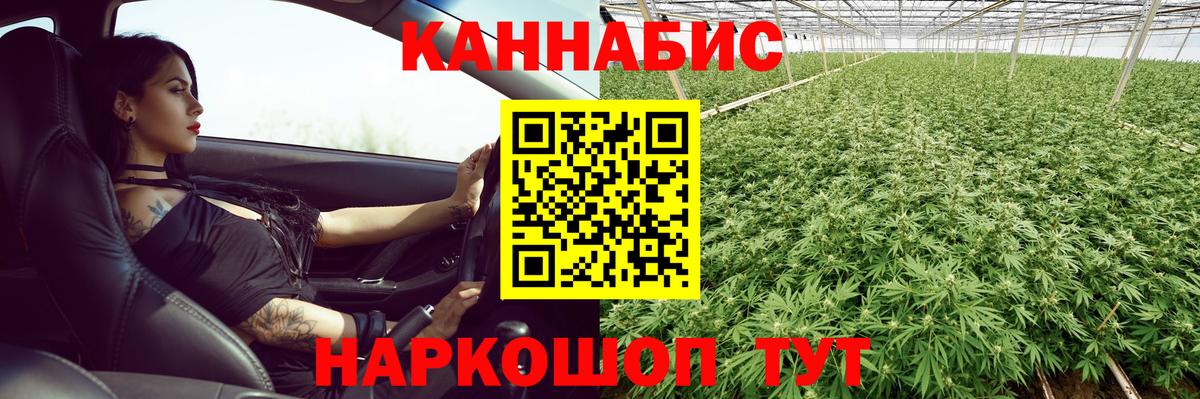 Марихуана тримм  Вход с VPN  Жуковский  Канабис Bruce Banner  Бошки марихуана ГИДРОПОН 